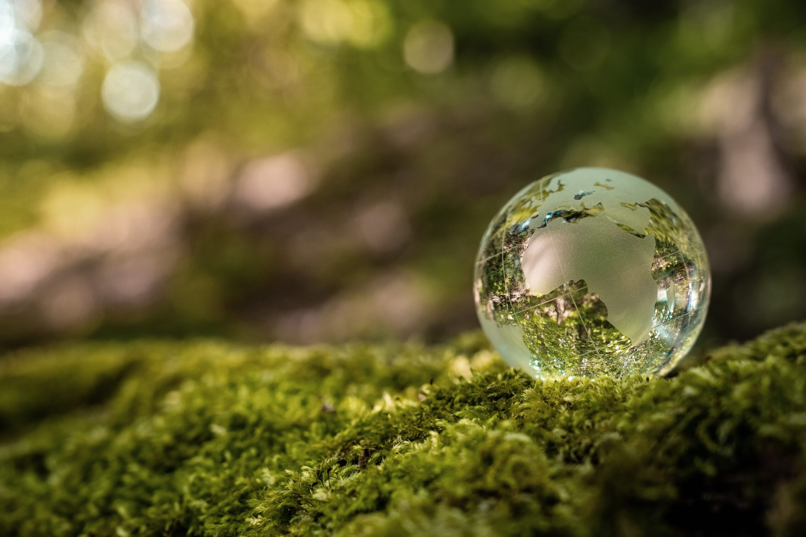 Environment conservation concept. Close up of glass globe
