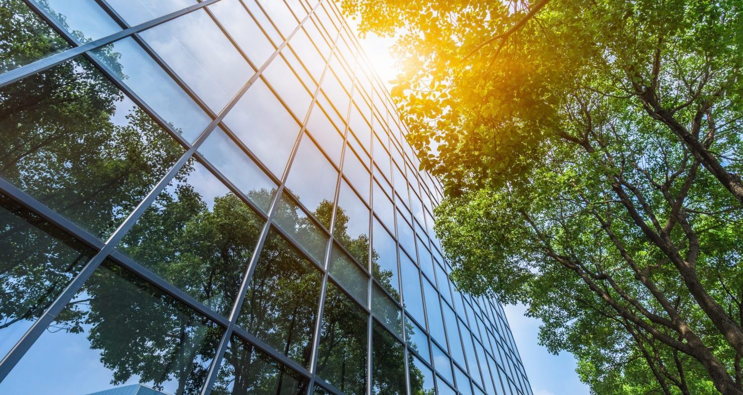 modern office building with green trees